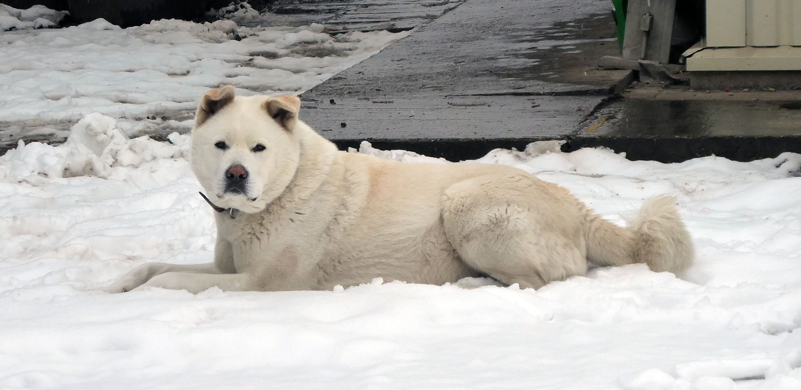 Boldog Karácsonyt és Új Évet!